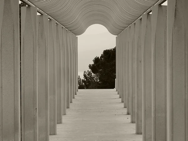 From the gallery
