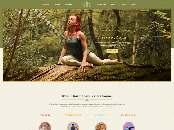 Website (Therapy Zona)